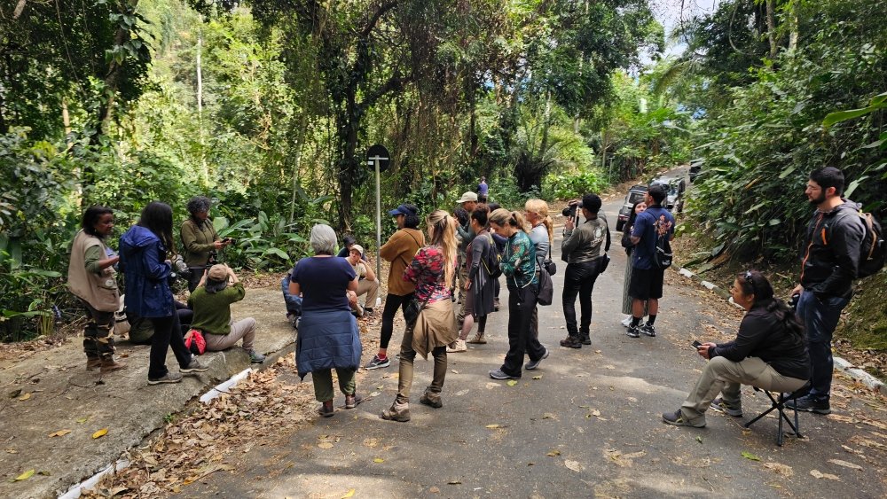 Programação especial marca o Dia da Mulher com foco em bem-estar e educação ambiental em Ilhabela