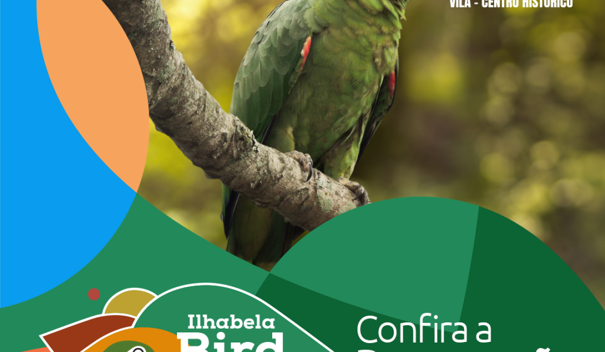 Bird-week-1