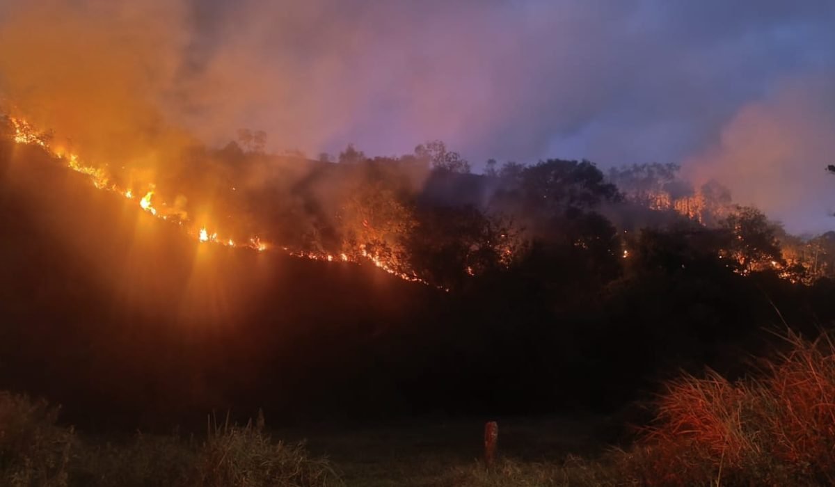 Bombeiros controlam incêndio de grandes proporções no Morro das Pedras, em Caraguatatuba2