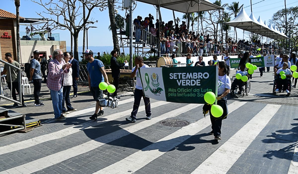 DESFILE 217ANOS (3)