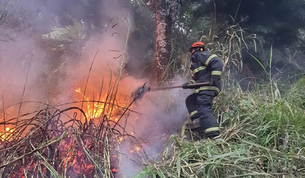 Fogo consome 2 mil metros quadrados de vegetação em Ilhabela4