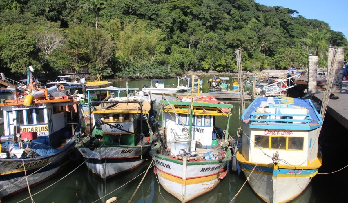 PESCADOR1