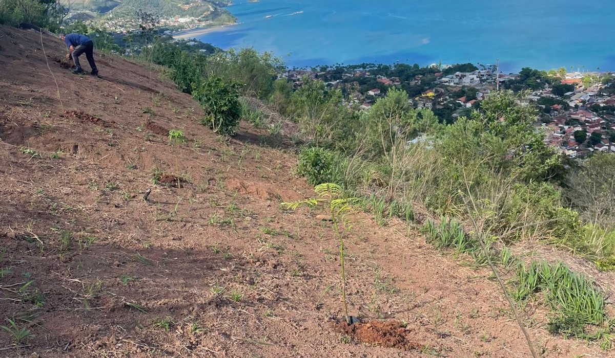 Prefeitura de Ilhabela destaca balanço positivo das ações de prevenção a incêndios florestais durante o período de estiagem