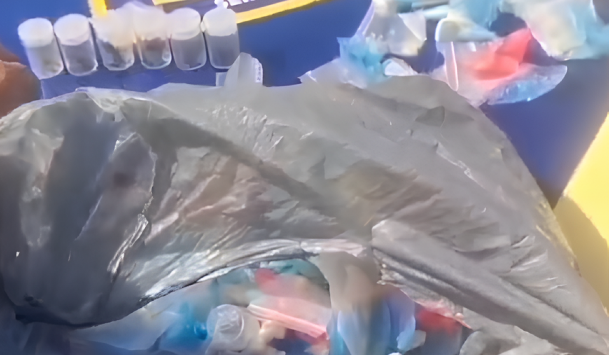 Traficante é preso em flagrante com drogas na Costa Sul de São Sebastião