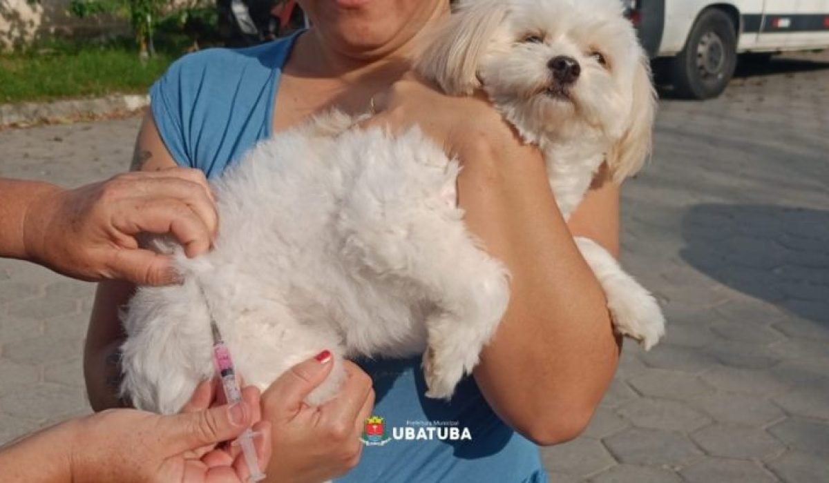UVZ - mais de 950 animais já foram imunizados contra a raiva em Ubatuba