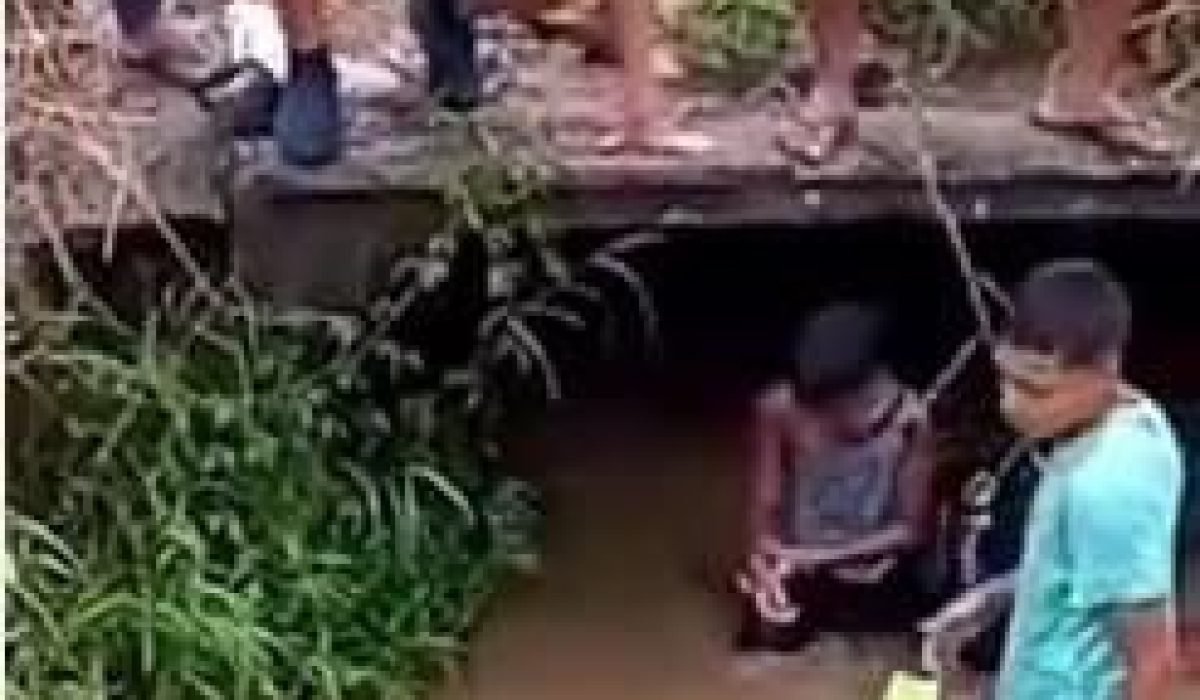 WhatsApp Image 2024-01-16 at 05.15.58