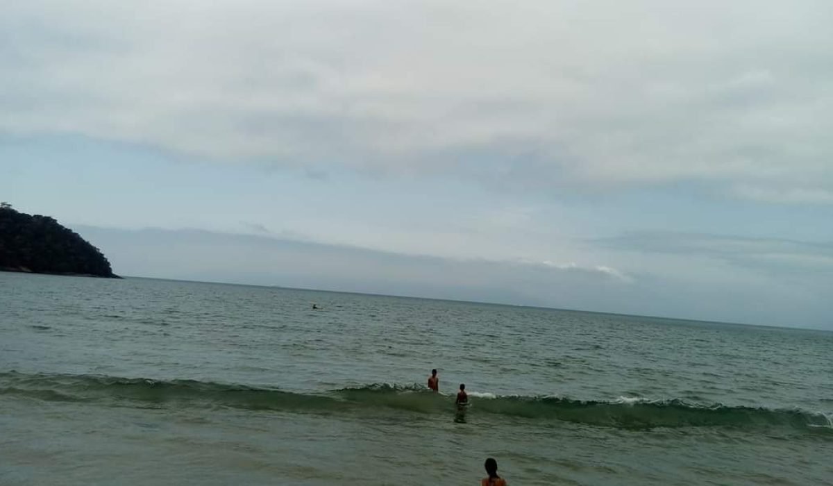 c2f88f51-10ed-4a4c-85db-453dd5950489