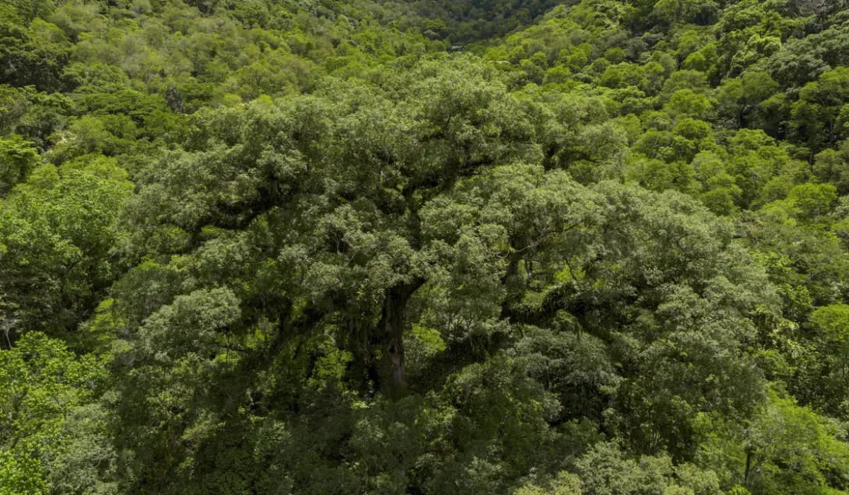 dji_0467-3