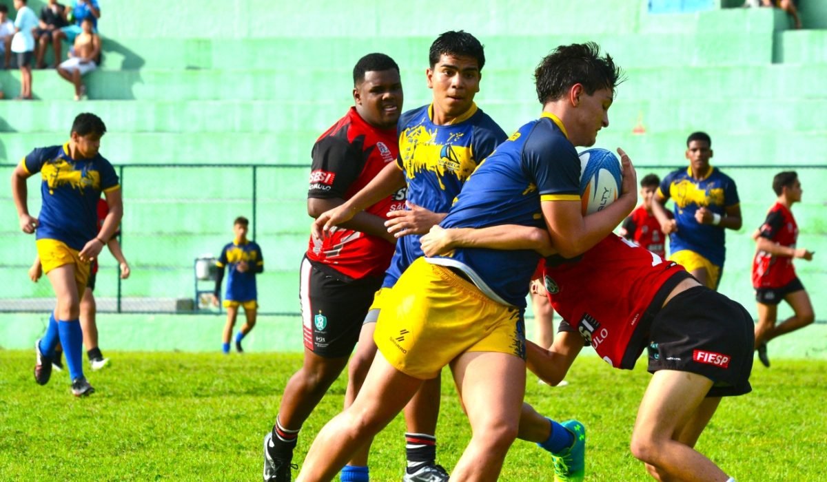 rugby ilha